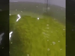 Online Optische Opgeloste de Zuurstof Optische Sensor van de Zuurstofsensor Rs485